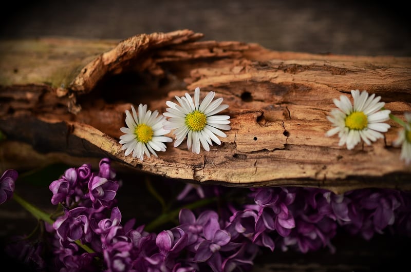 Woodworking with Reclaimed Wood